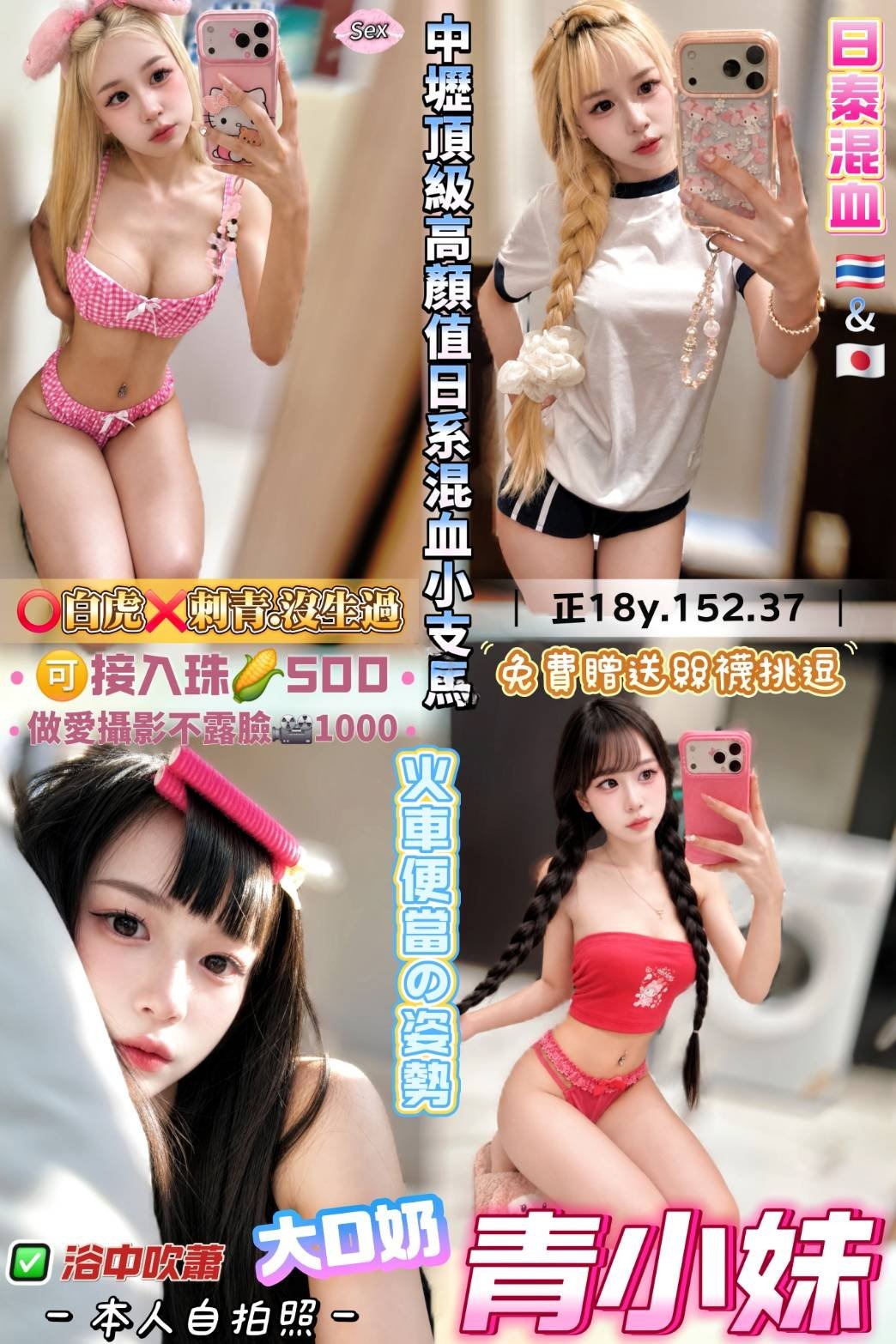 桃園定點茶-青小妹/152/37/18/D 桃園定點茶-青小妹/152/37/18/D