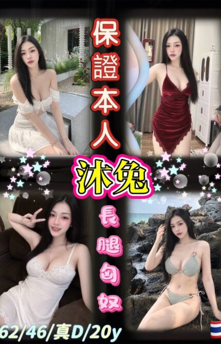 台北定點茶-沐兔/162/46/20/D