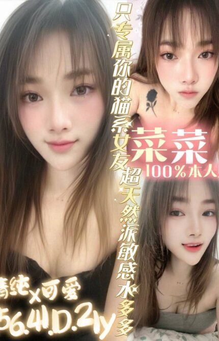 台南定點茶-菜菜/156/41/21/D