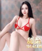台北定點茶-甜柔/156/42/?/E